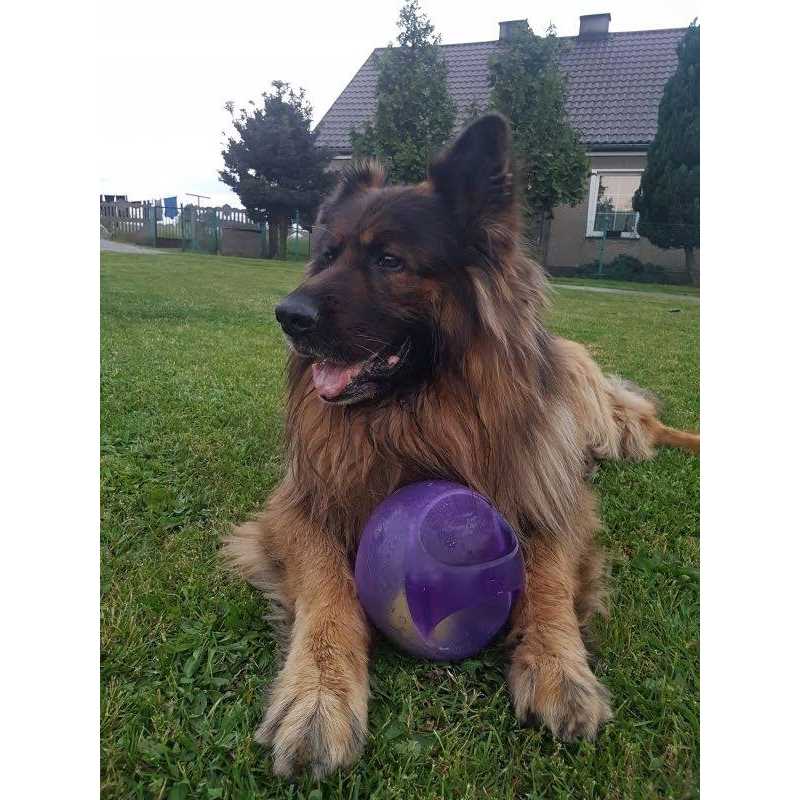 Jumbler Ball Dog Toy A903