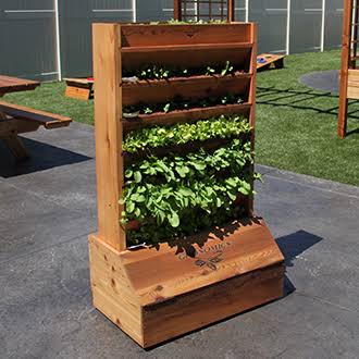 Vertical Garden I5348