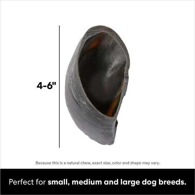 Cow Hooves B133231