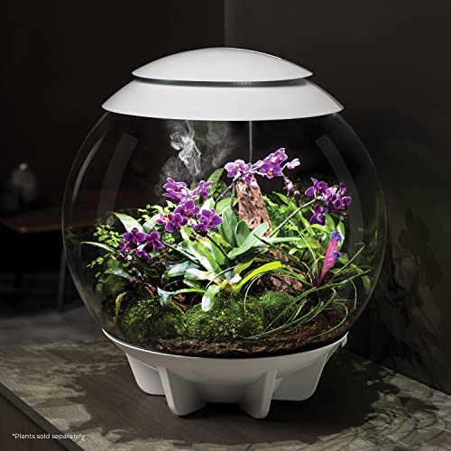 16 gallon White Terrarium I70232
