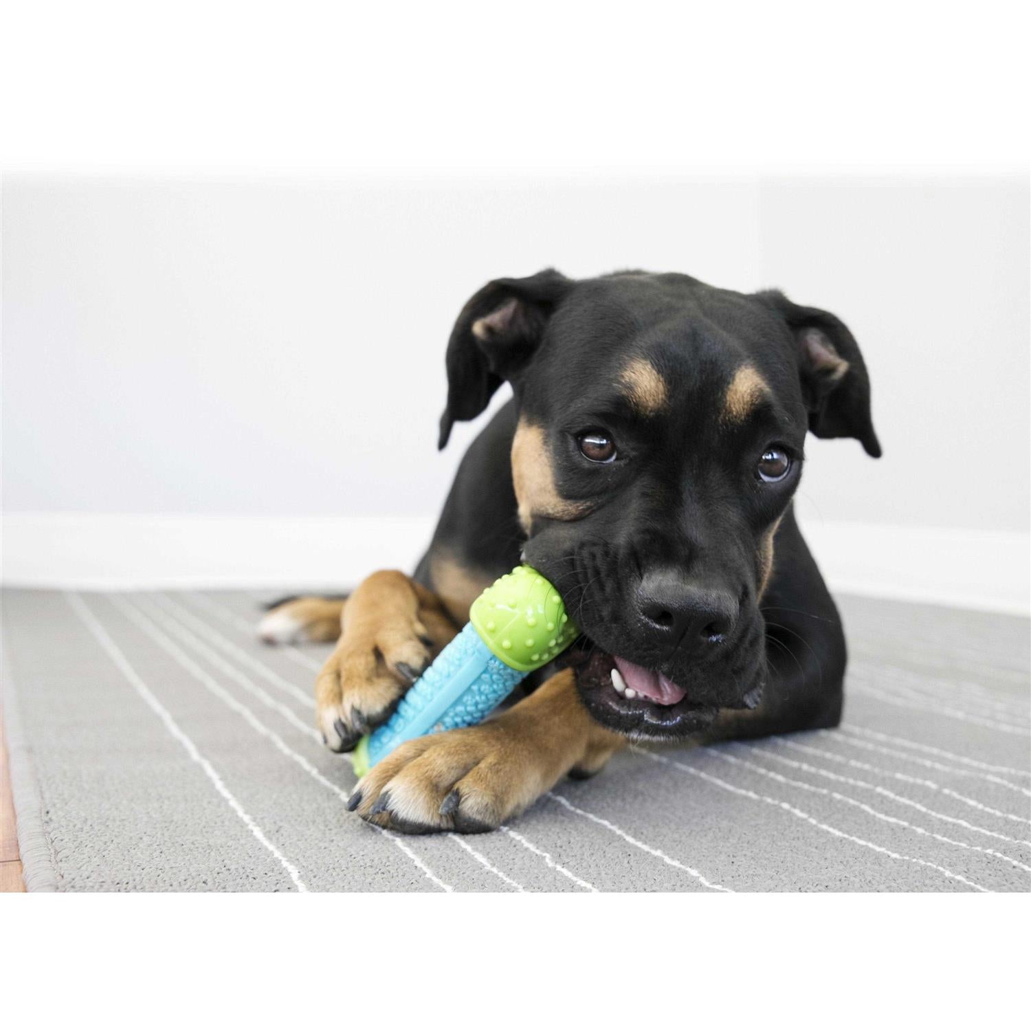 CoreStrength Bone Dog Toy Q508504