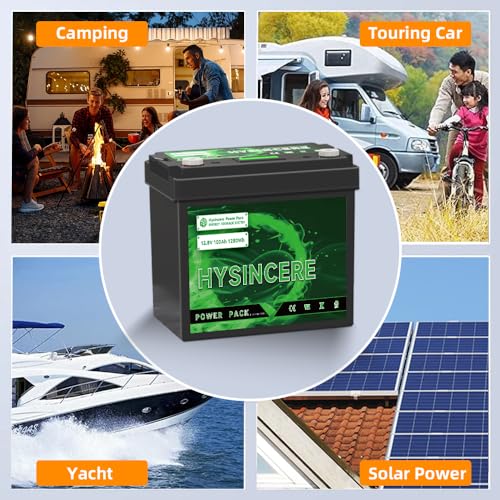 12V 100Ah LiFePO4 Lithium Battery with 100A BMS F303