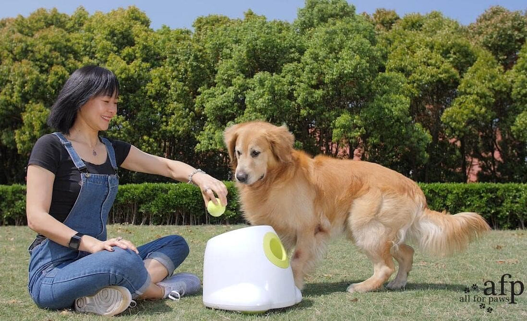 9pcs Tennis Balls Dog Ball Launcher P129910