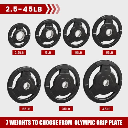 2.5 LB Rubber Coated Olympic Grip Plate J636740