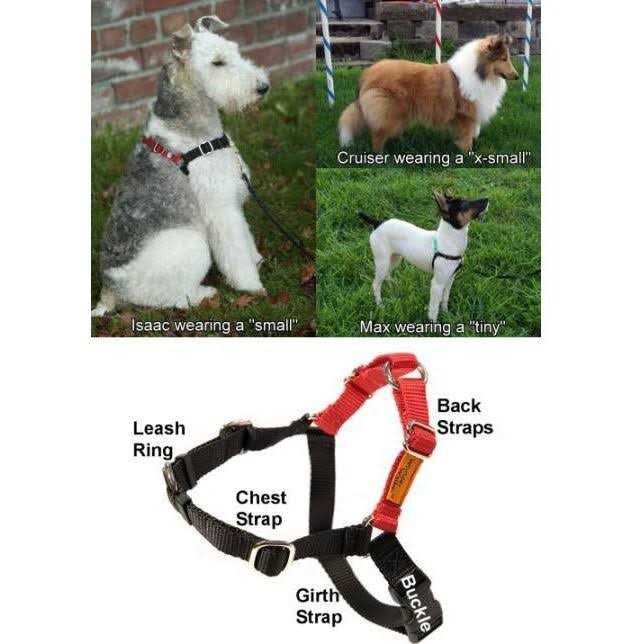 Body Halter Dog Harness Y409