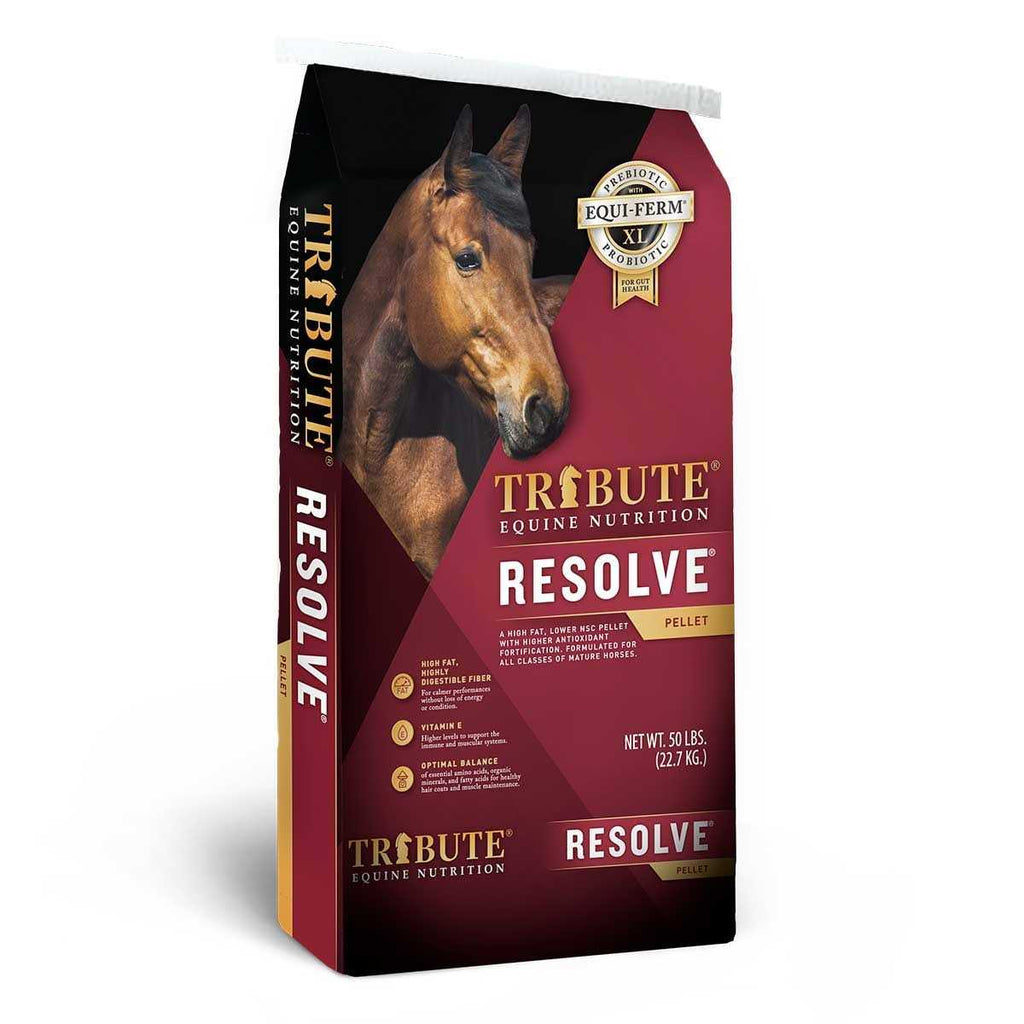Horse Feed I468