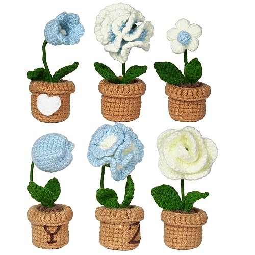 6 Pcs Crochet Kit (Blue) F194257