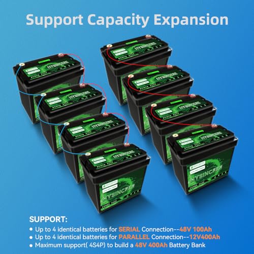12V 100Ah LiFePO4 Lithium Battery with 100A BMS F303