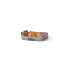 4-Sided Cuddler Dog Bed I77104