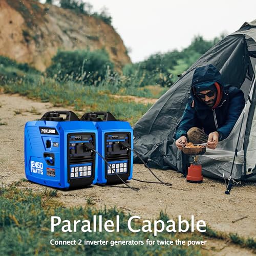 4000 Watt Gas Powered Inverter Generator S125338