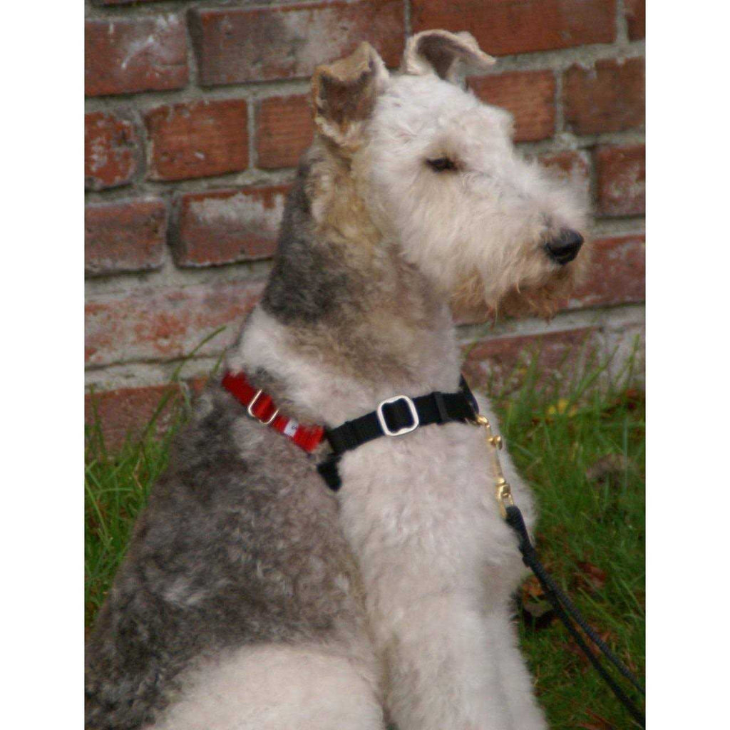 Body Halter Dog Harness Y409