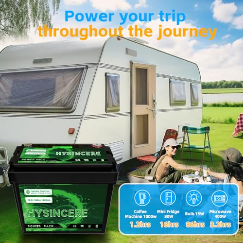 12V 100Ah LiFePO4 Lithium Battery with 100A BMS F303