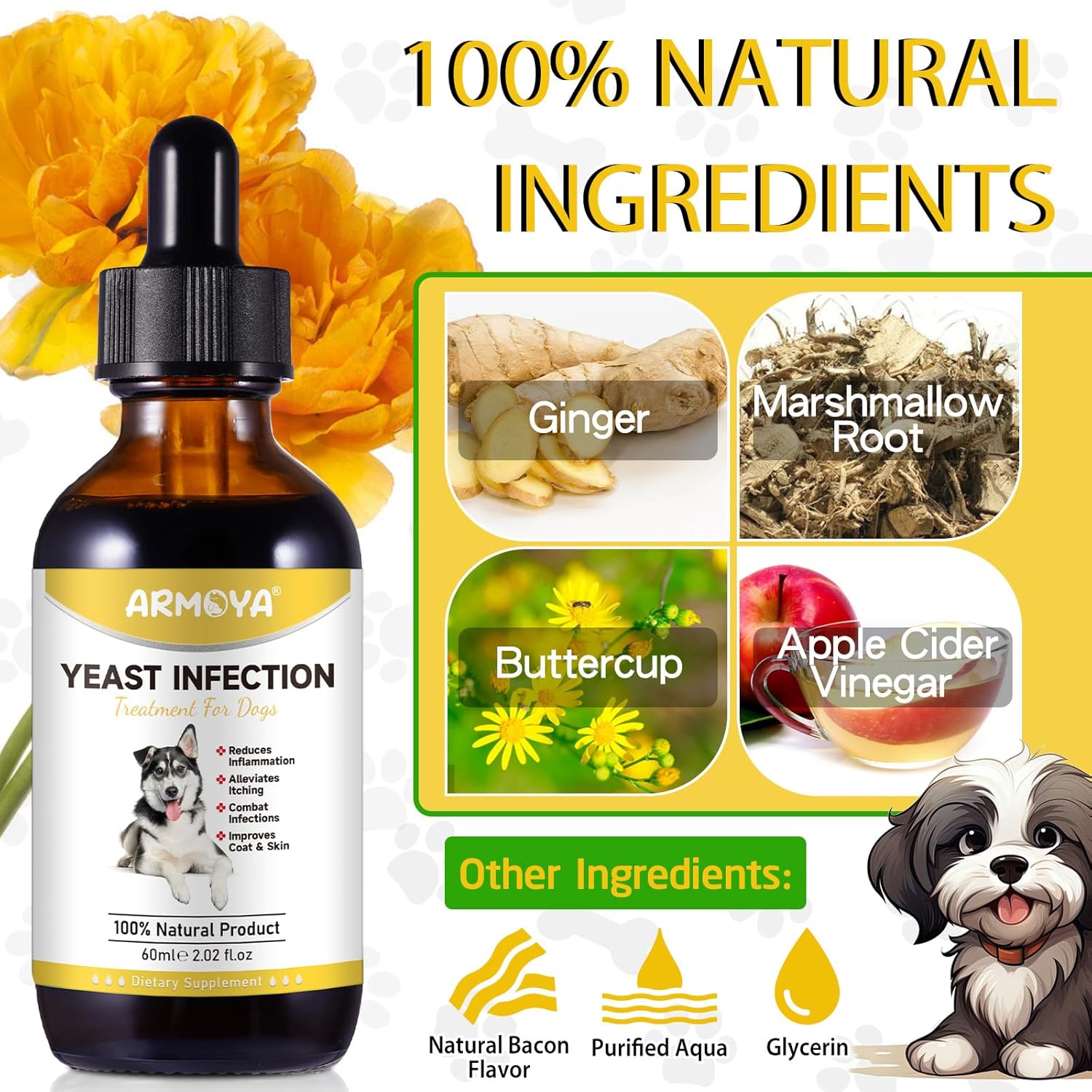 Dog Ear Infection Treatment - 2 fl oz X84023