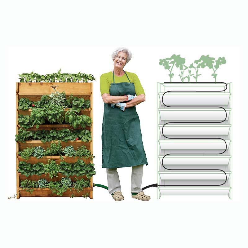 Vertical Garden I5348