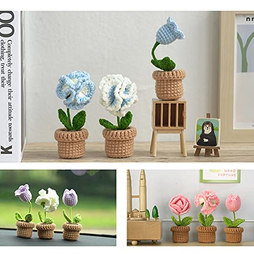 6 Pcs Crochet Kit (Blue) F194257