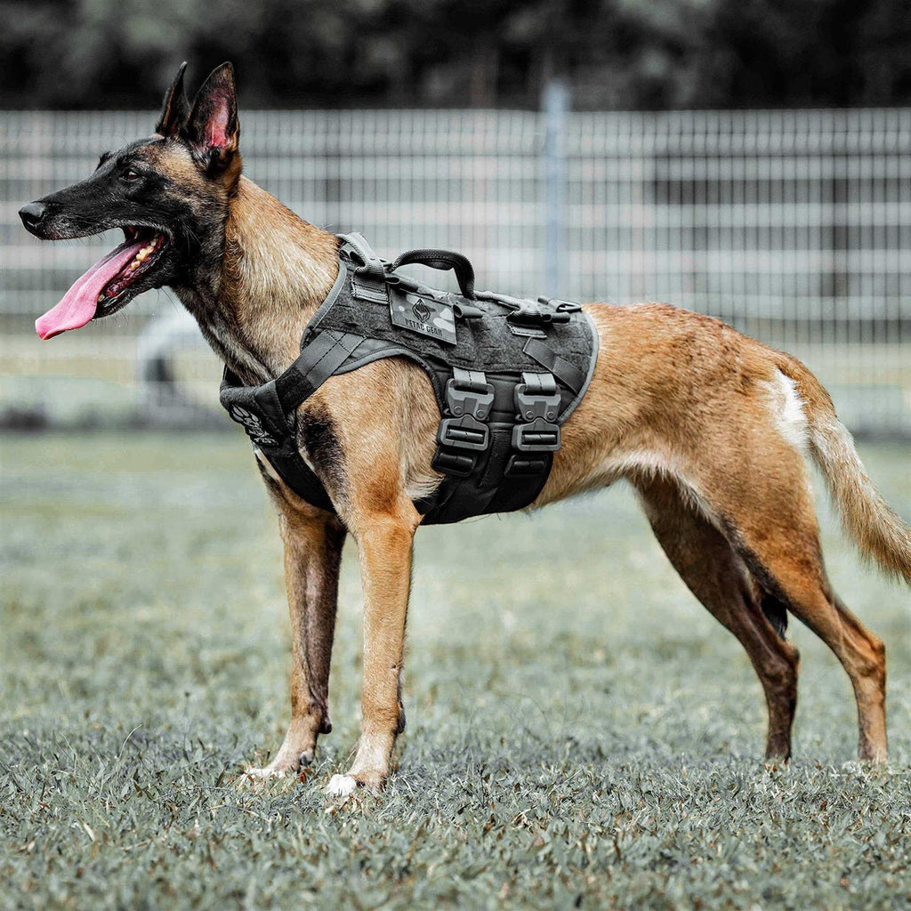 Tactical Dog Harness K9 Dog Training Vest Adjustable Padded MOLLE Vests M175329