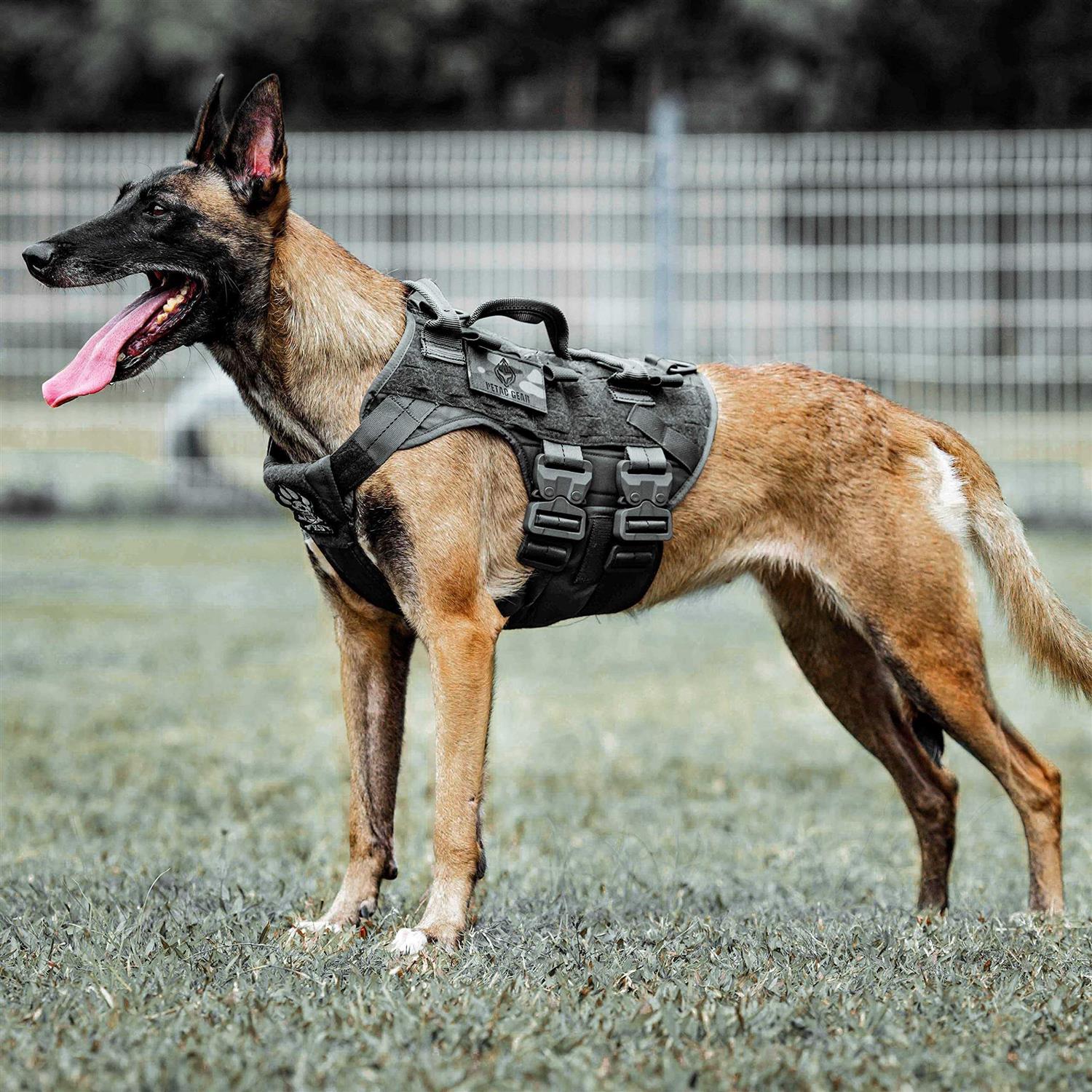 Tactical Dog Harness K9 Dog Training Vest Adjustable Padded MOLLE Vests M175329