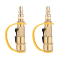 Brass Quick Connector N859375