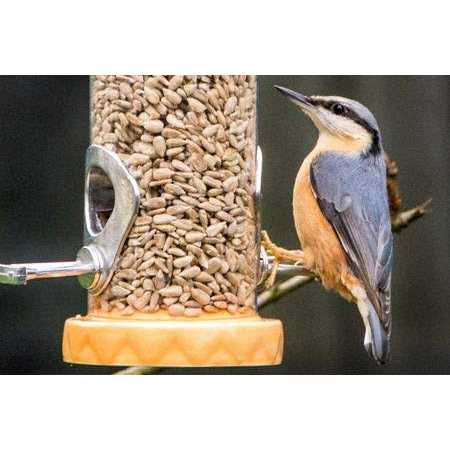 Coarse Hearts No Waste No Mess Bird Seed H876678