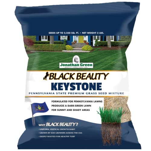 Black Beauty Grass Seed 7 lb V5787