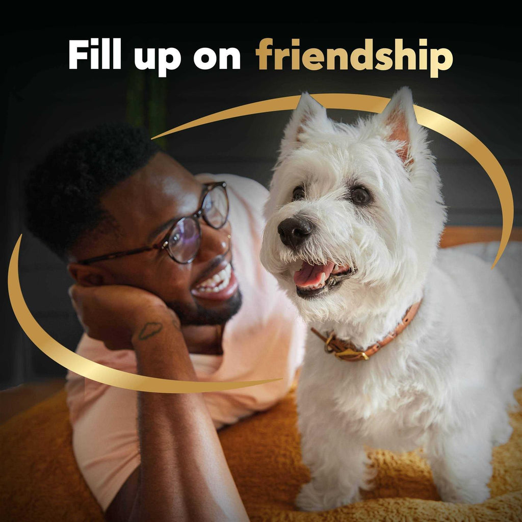 Small Breed Dry Dog Food T323548