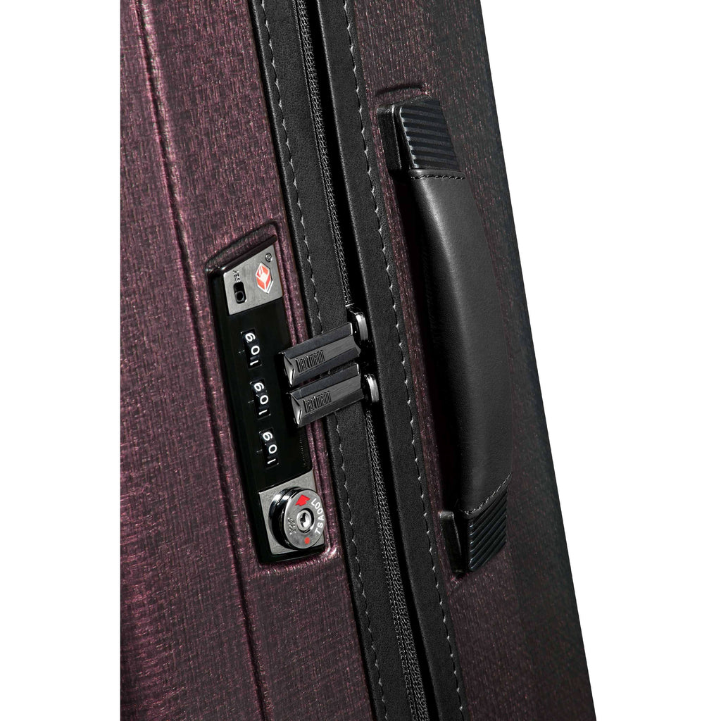 28x22 Spinner Suitcase B9709