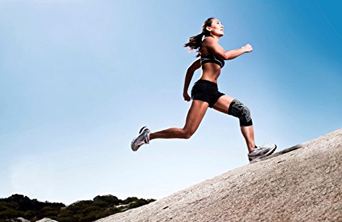 Large Compression Knee Brace Undersleeve H58166
