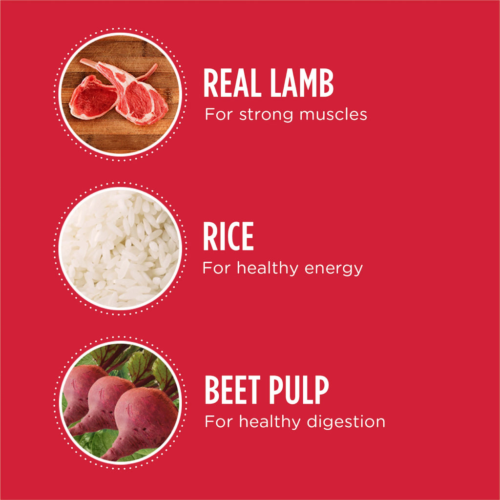 40 lb. Lamb & Rice Dry Dog Food E1174