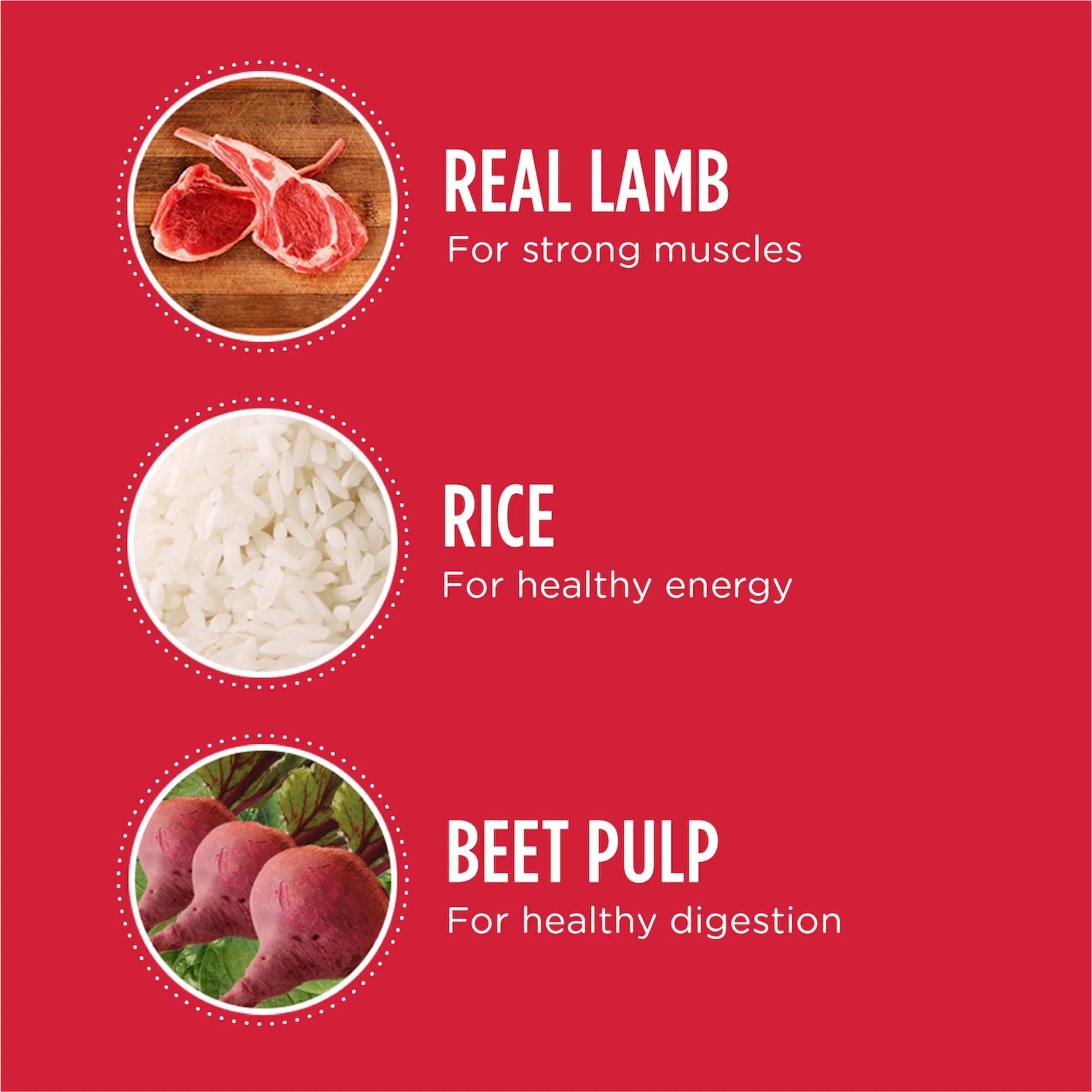 40 lb. Lamb & Rice Dry Dog Food E1174