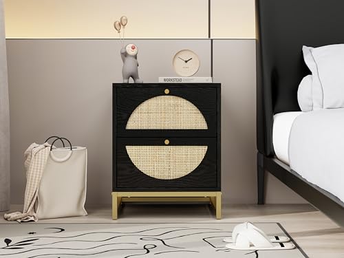 Black 2-Drawer Rattan Wood Nightstand I8215