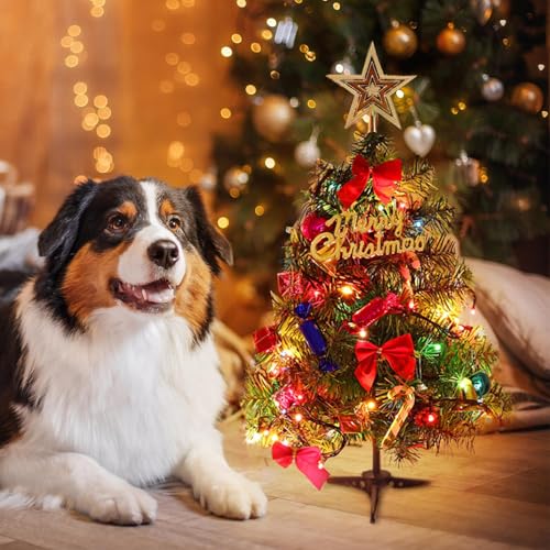 20 Inch Table Top Christmas Tree with LED Lights B902