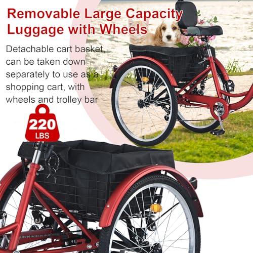 26 inch 7 Speed Adult Tricycle with Front & Rear Baskets O88173