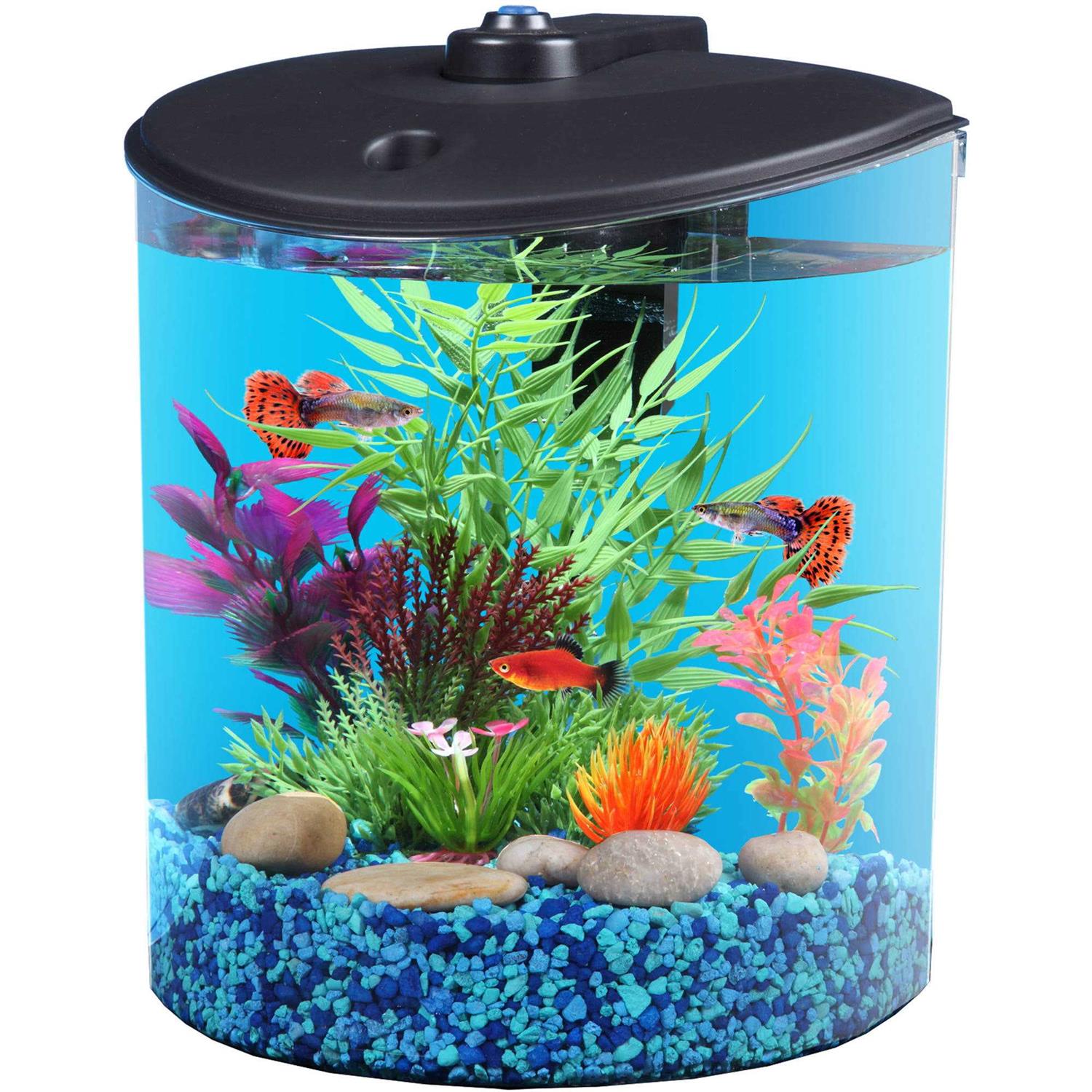 1.5-Gallon Fish Tank with LED Lighting and Power Filter I9858