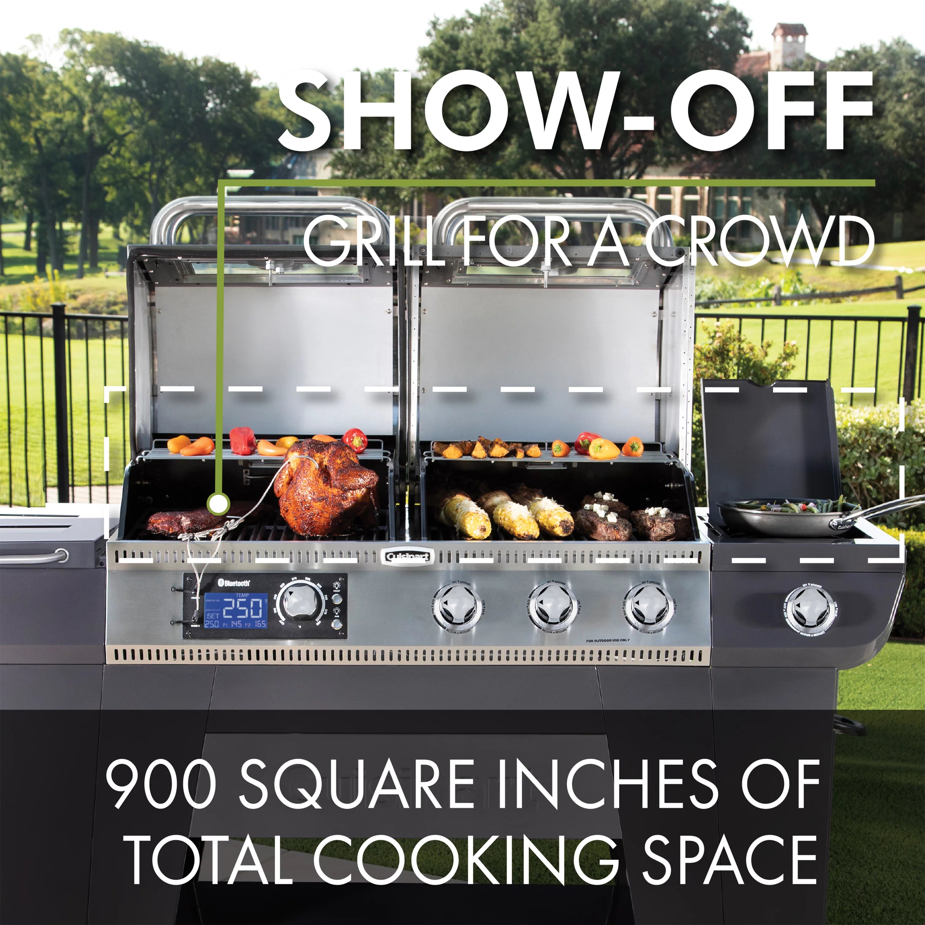 Dual Function Pellet and Propane Gas Grill S640468
