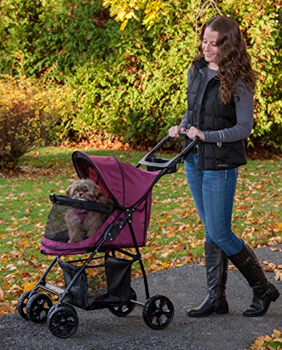 Pet Stroller with Removable Liner F166690