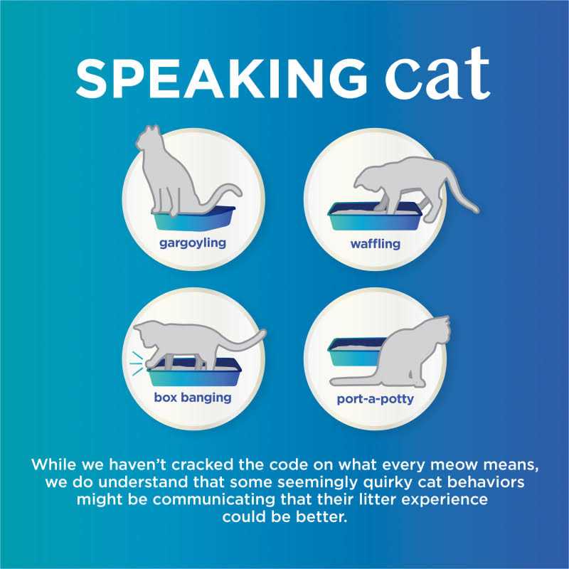 Unscented Clumping Cat Litter N442