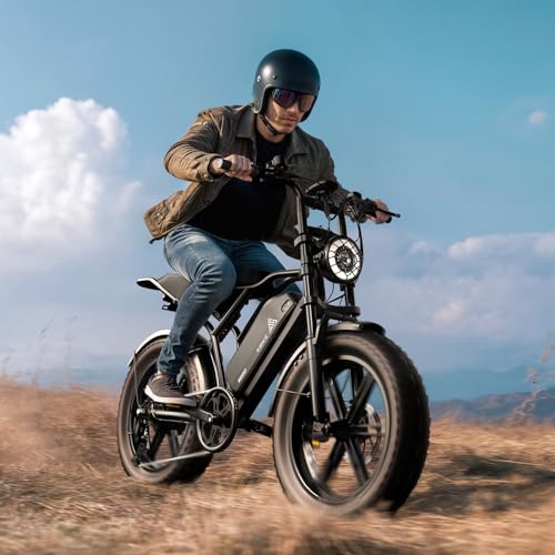 1500W Peak Brushless Motor 28 MPH 60 Miles Fat Tire E Bike with 48V 15Ah Removable Battery 20" Electric Dirt Bike Hydraulic Suspension 7-Speed W321