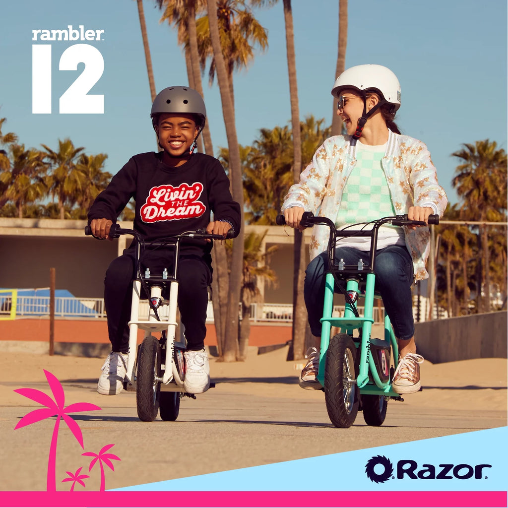 12 Seated Electric Scooter, White, 12" Air-Filled Tires Y720209