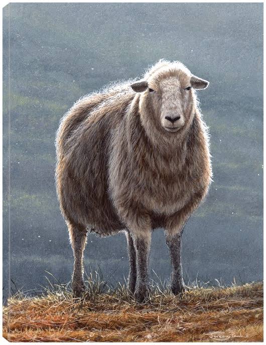 24x32 Canvas Art L10331