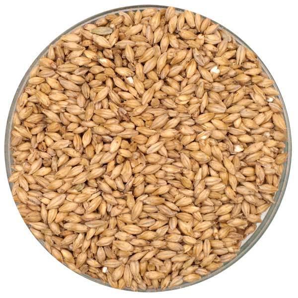55 lb. Unmilled 2-Row Malt E18060