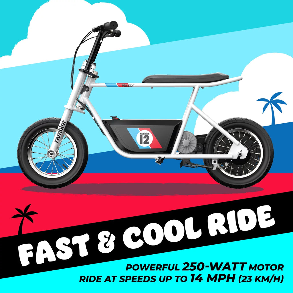 12 Seated Electric Scooter, White, 12" Air-Filled Tires Y720209