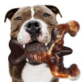 Real Bacon Flavored Tough Dog Bone Chew Toy W8287