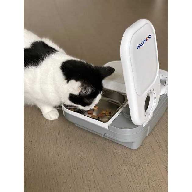 Automatic Pet Feeder with Stainless Steel Bowl Inserts C67640