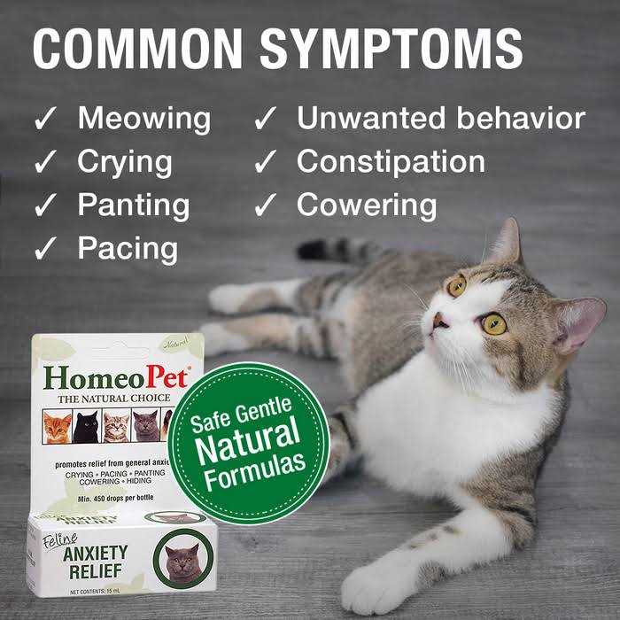 Feline Anxiety Relief O27878