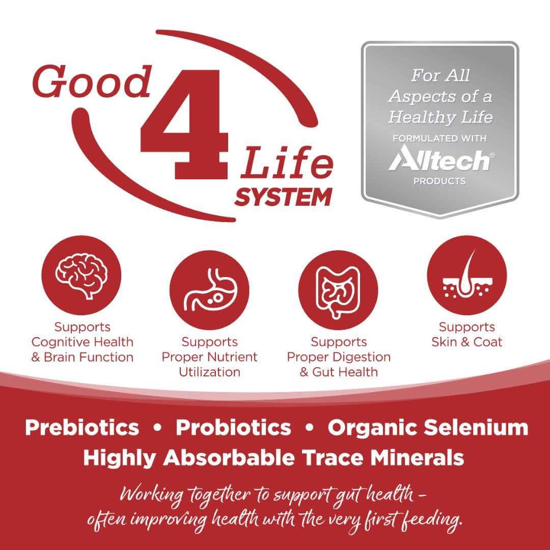 Beef & Red Lentils Grain Free Dry Dog Food G529110