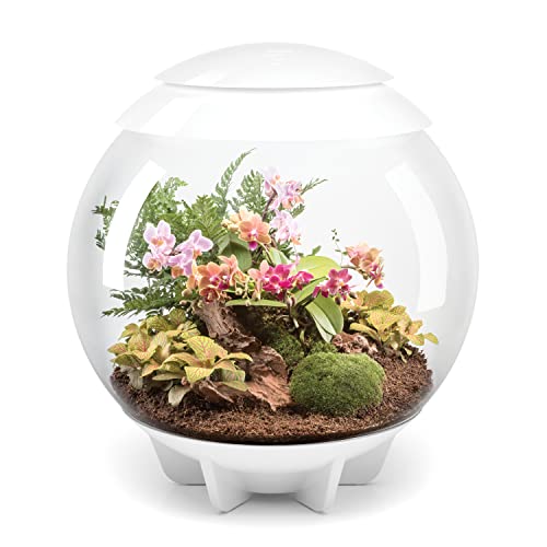 16 gallon White Terrarium I70232