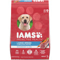 40 lb. Lamb & Rice Dry Dog Food E1174