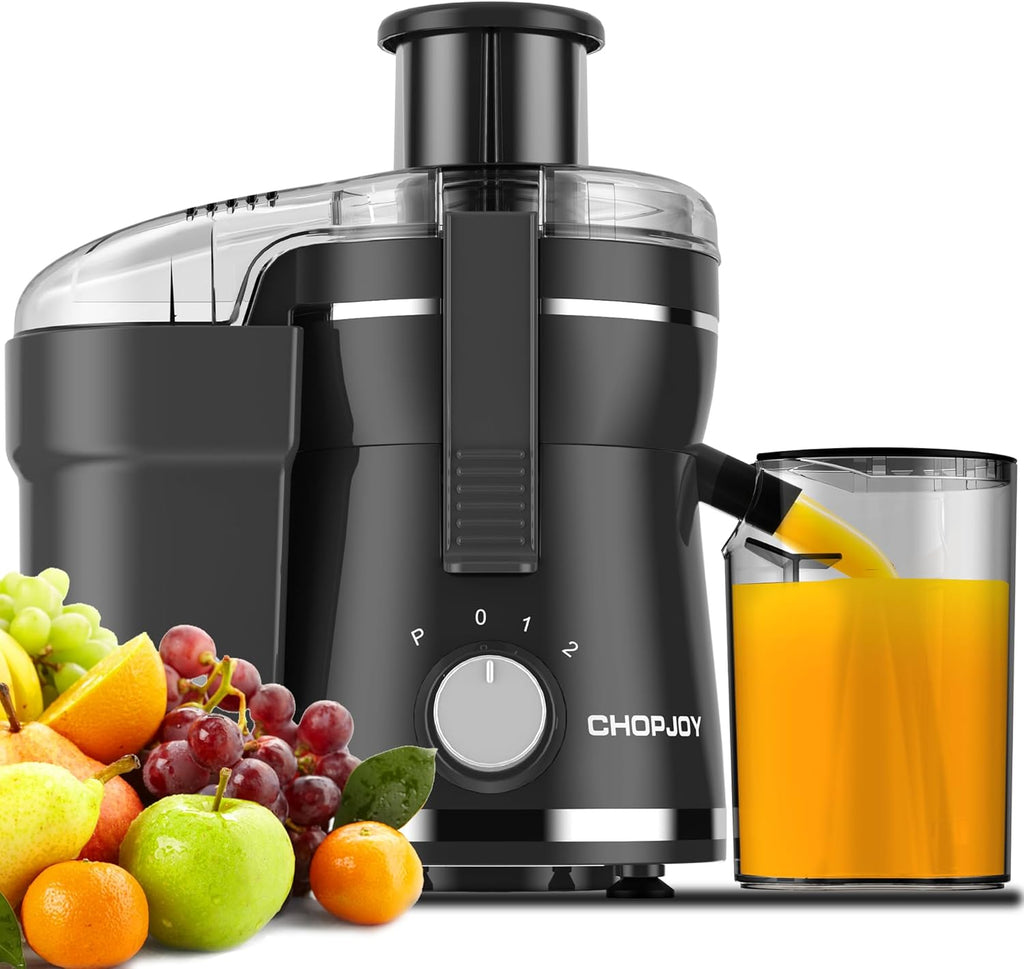 500W Stainless Steel Juicer with 3 Inch Wide Chute E538