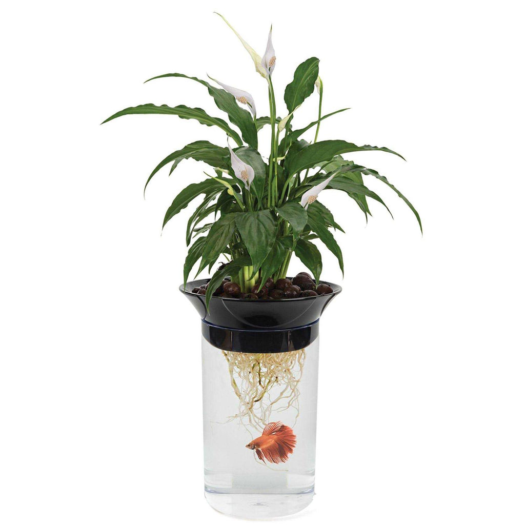 Nature's Aqua-Ponic Planter & Fish Habitat I7212