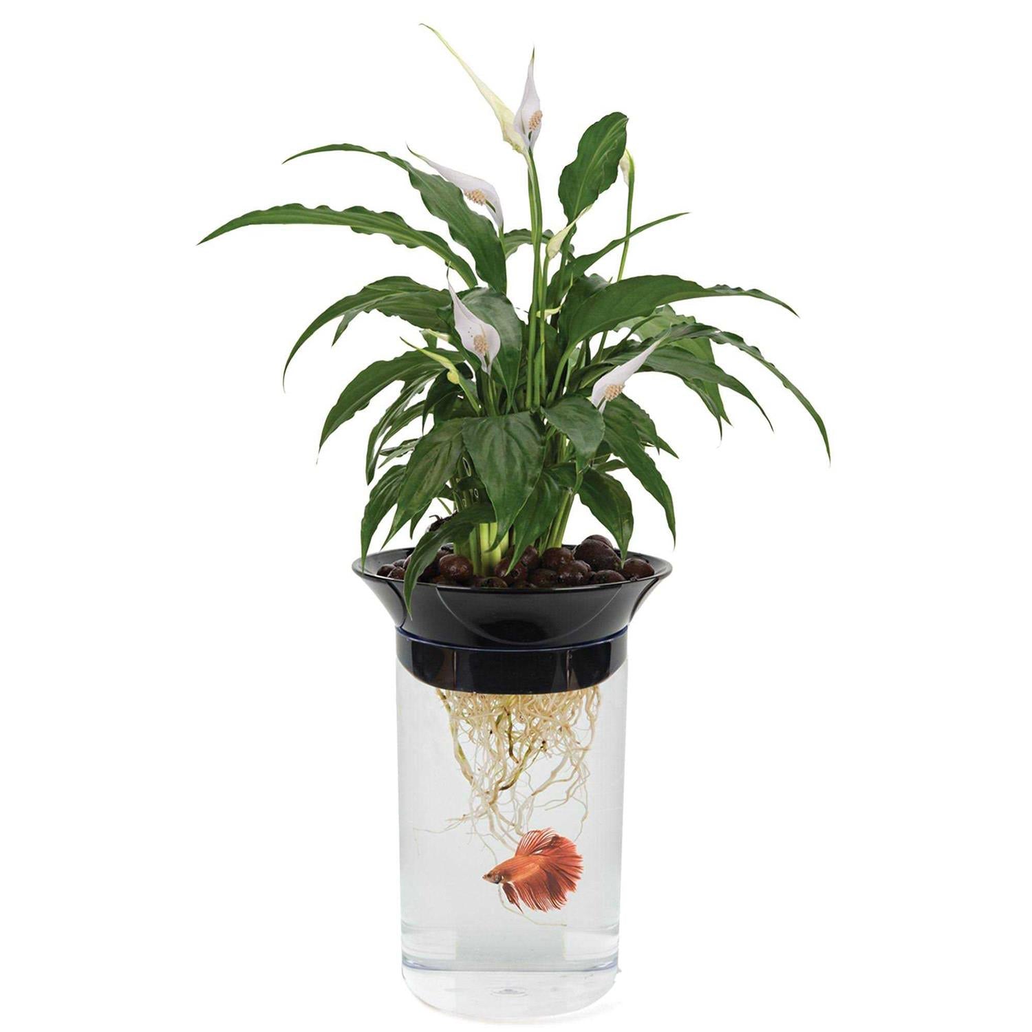 Nature's Aqua-Ponic Planter & Fish Habitat I7212